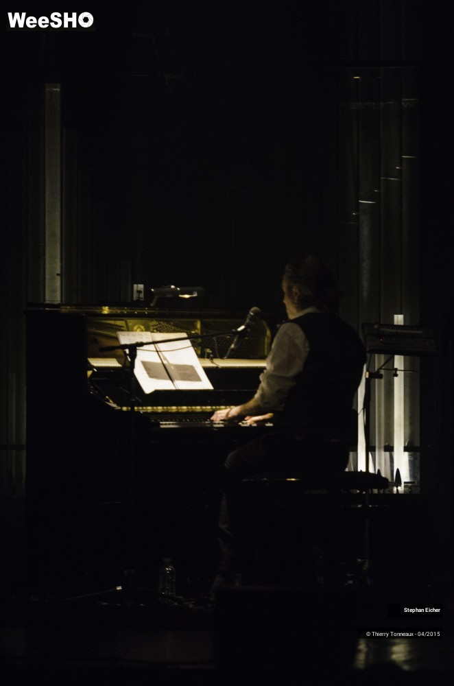 23/37 photos du spectacle Stephan Eicher