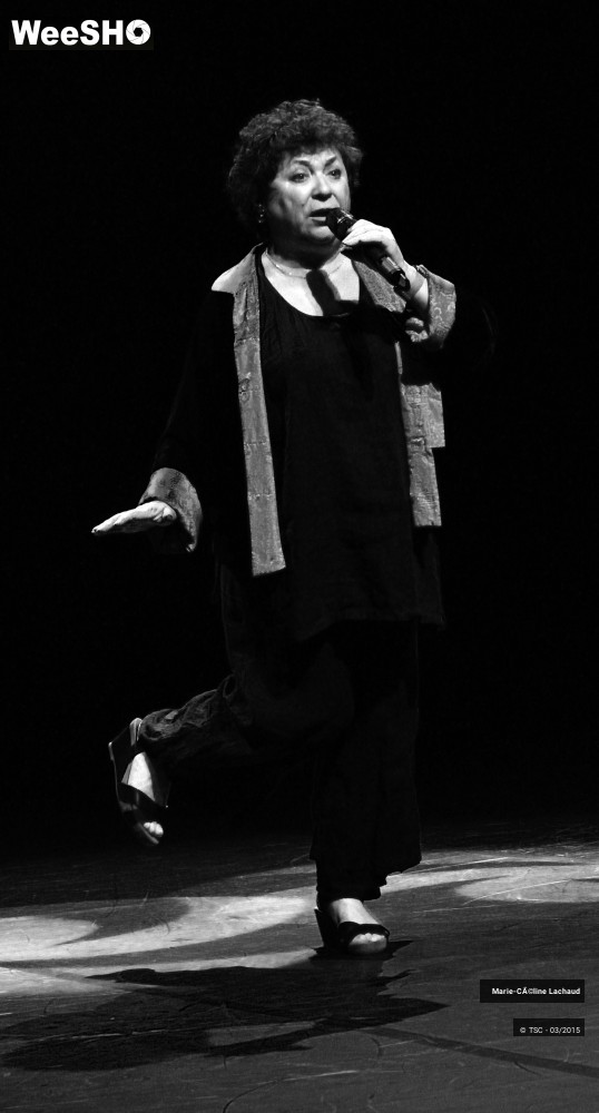 5/7 photos du spectacle Chansons devinettes