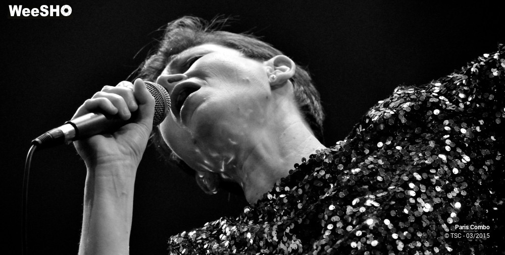 6/36 photos du spectacle Paris Combo