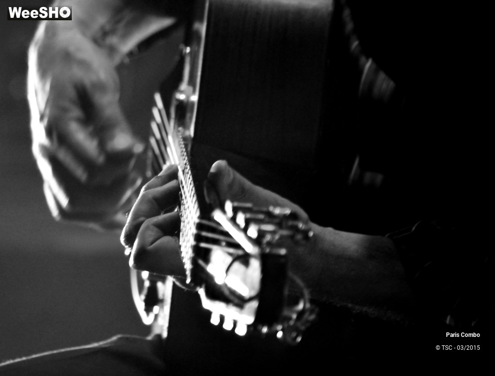 19/36 photos du spectacle Paris Combo