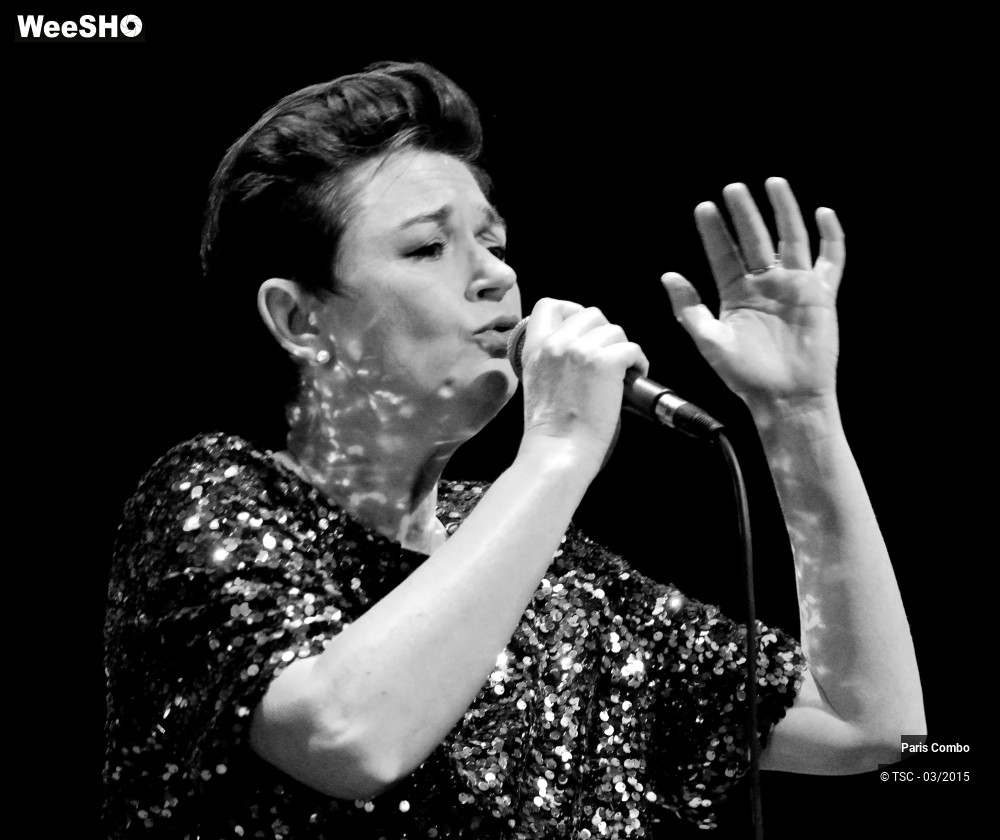 22/36 photos du spectacle Paris Combo