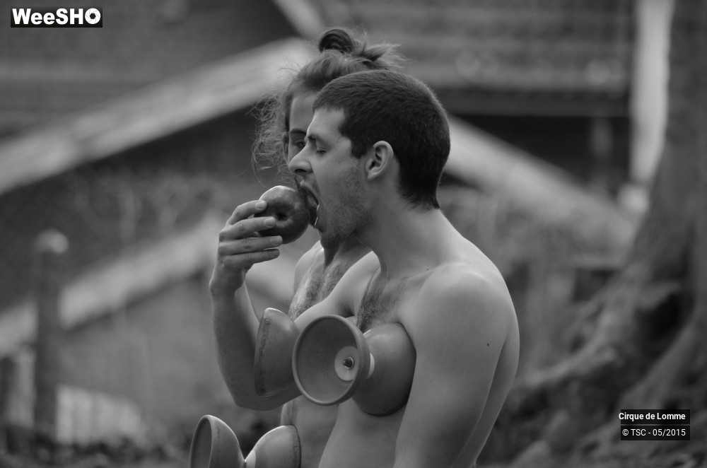 19/37 photos du spectacle L'herbe est plus rose ici 