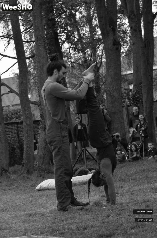 28/37 photos du spectacle L'herbe est plus rose ici 