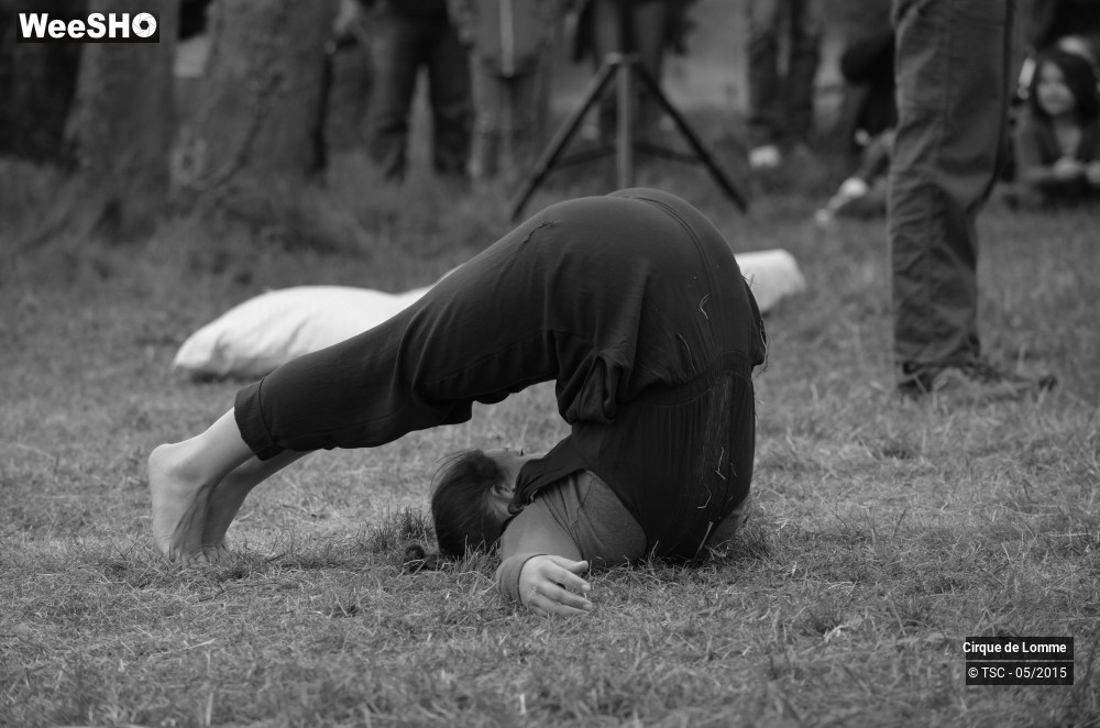 31/37 photos du spectacle L'herbe est plus rose ici 