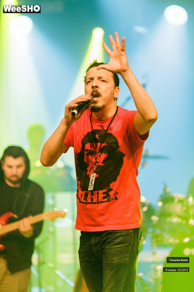 13/27 photos du spectacle Tamasha Roots