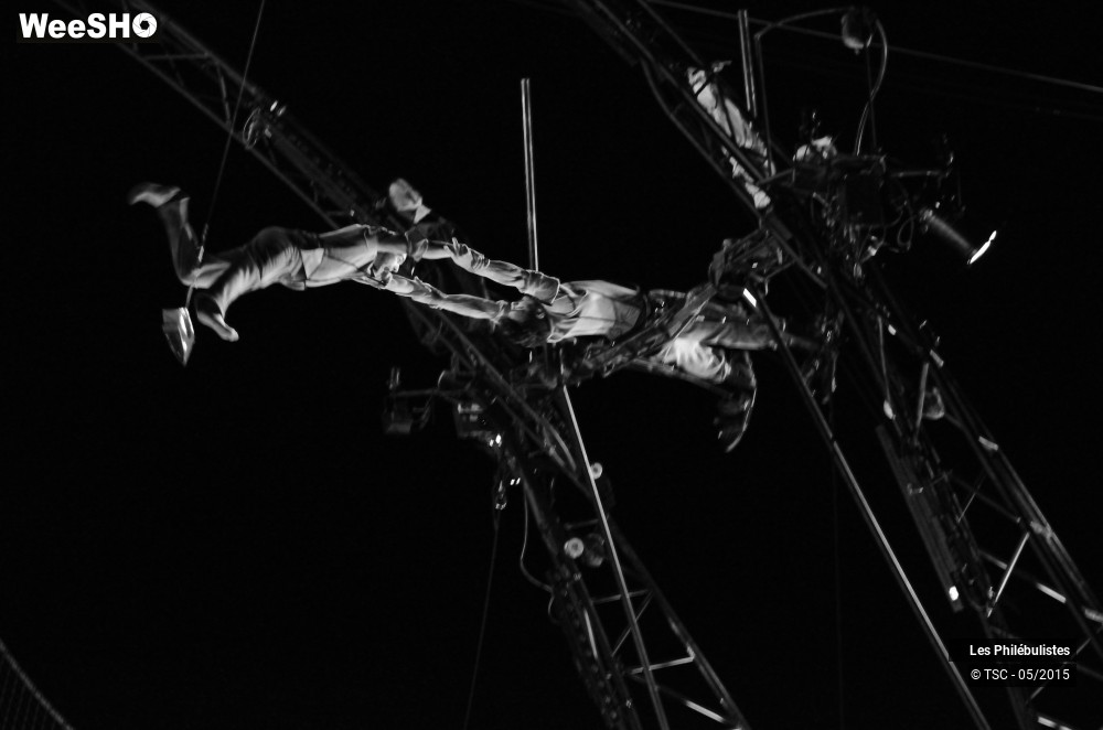 13/21 photos du spectacle Hallali ou la 5ème de Beethov'