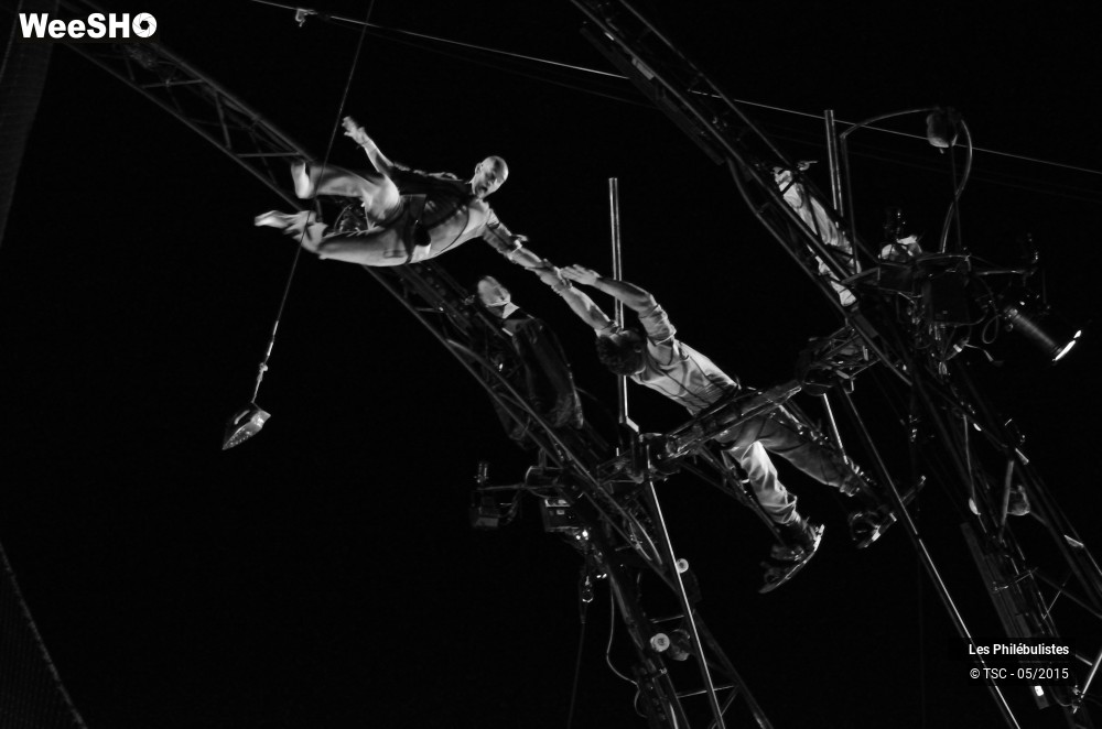 17/21 photos du spectacle Hallali ou la 5ème de Beethov'