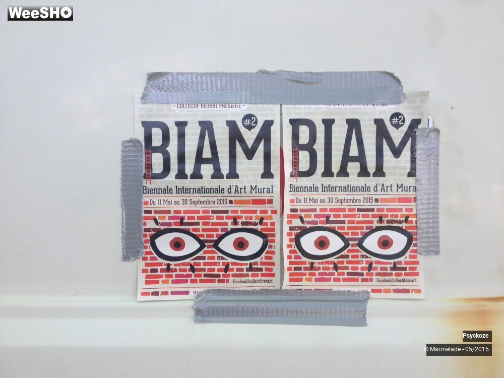 5/15 photos du spectacle Psyckoze