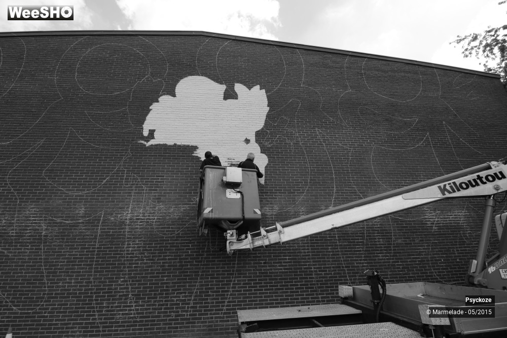 6/15 photos du spectacle Psyckoze