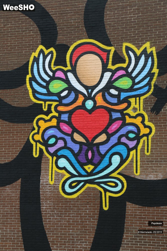 9/15 photos du spectacle Psyckoze