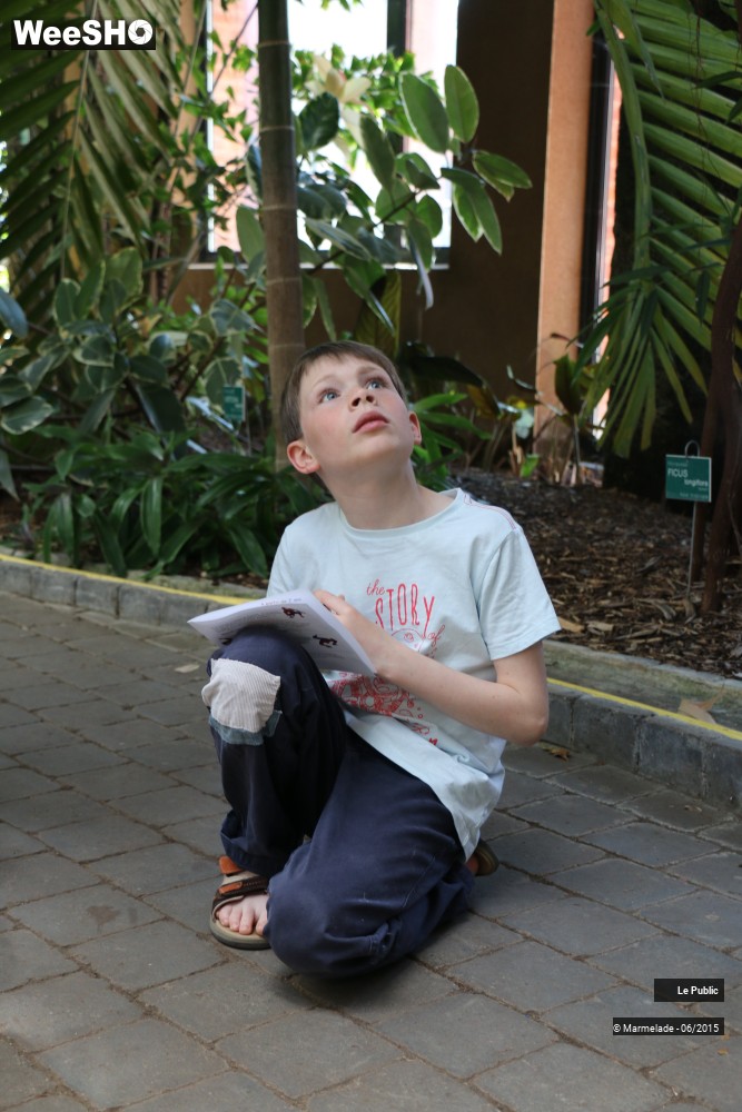 1/47 photos du spectacle Tourcoing se met au vert