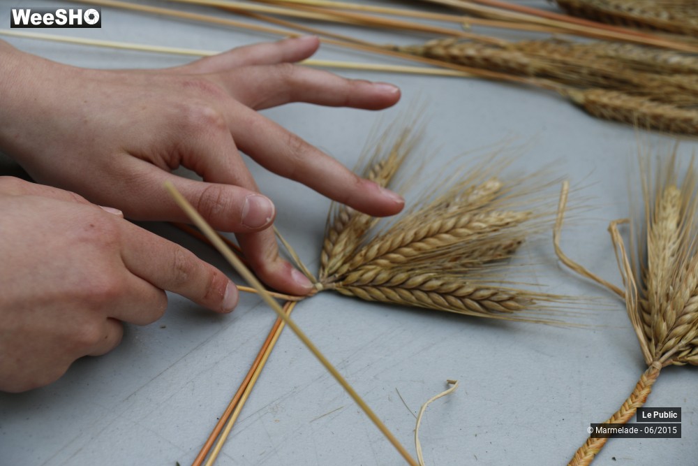 7/47 photos du spectacle Tourcoing se met au vert