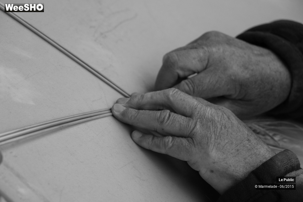 10/47 photos du spectacle Tourcoing se met au vert