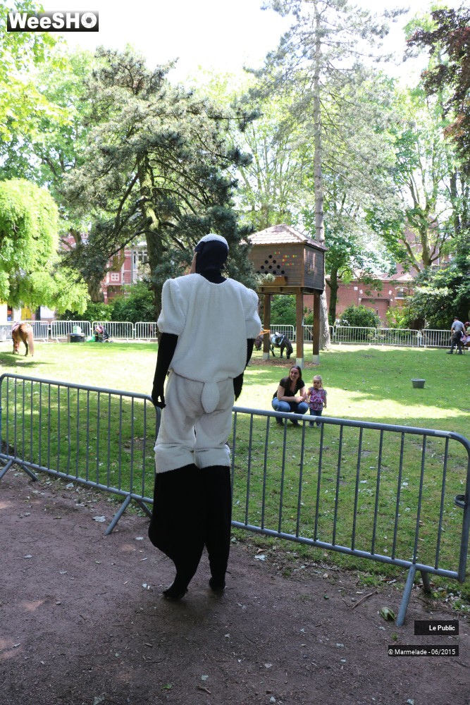 11/47 photos du spectacle Tourcoing se met au vert