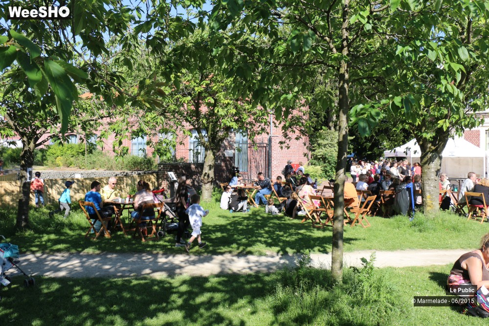 12/47 photos du spectacle Tourcoing se met au vert