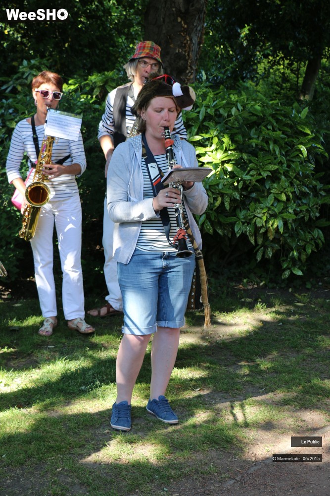 16/47 photos du spectacle Tourcoing se met au vert