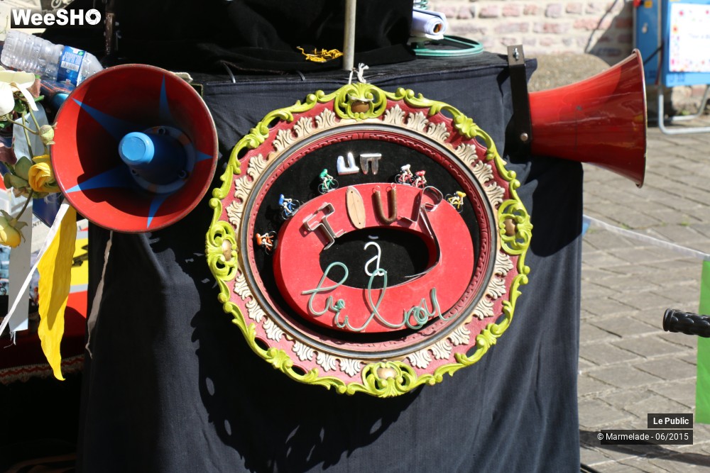 24/47 photos du spectacle Tourcoing se met au vert