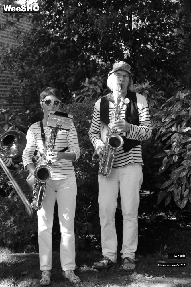 27/47 photos du spectacle Tourcoing se met au vert