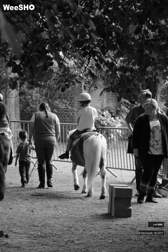 29/47 photos du spectacle Tourcoing se met au vert