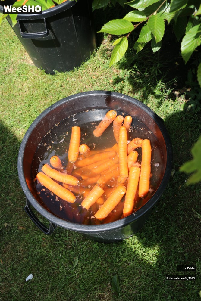 31/47 photos du spectacle Tourcoing se met au vert