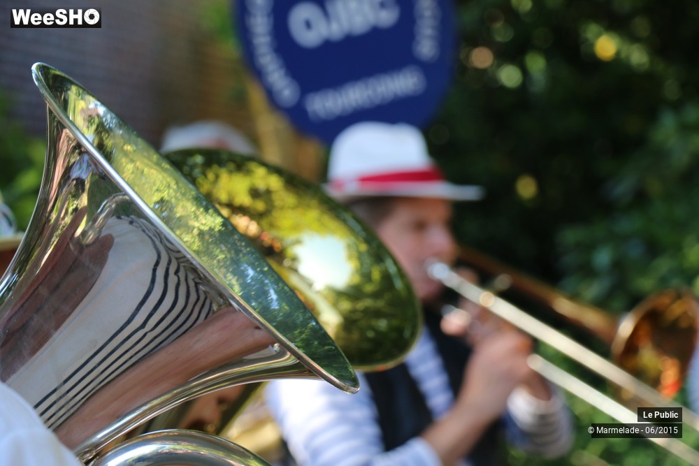 33/47 photos du spectacle Tourcoing se met au vert