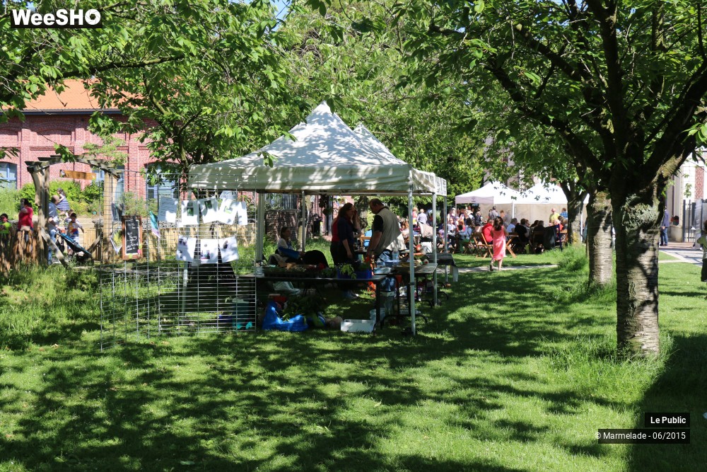 34/47 photos du spectacle Tourcoing se met au vert