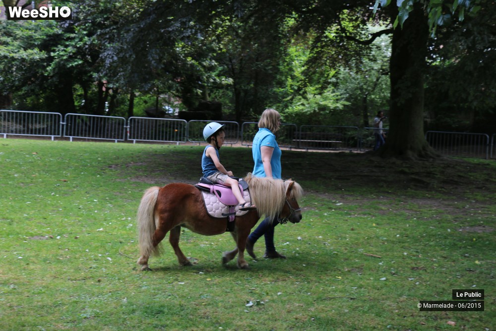 40/47 photos du spectacle Tourcoing se met au vert