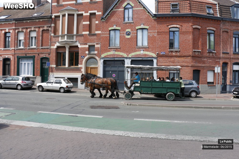 41/47 photos du spectacle Tourcoing se met au vert