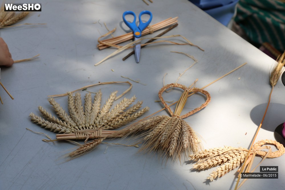 43/47 photos du spectacle Tourcoing se met au vert