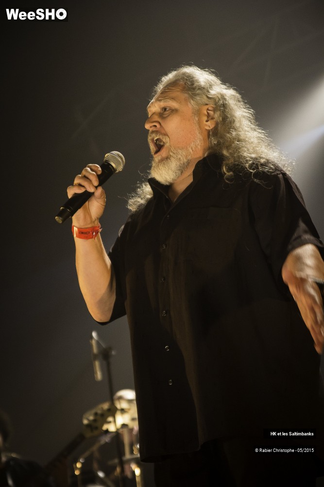 5/51 photos du spectacle HK et les Saltinbanks