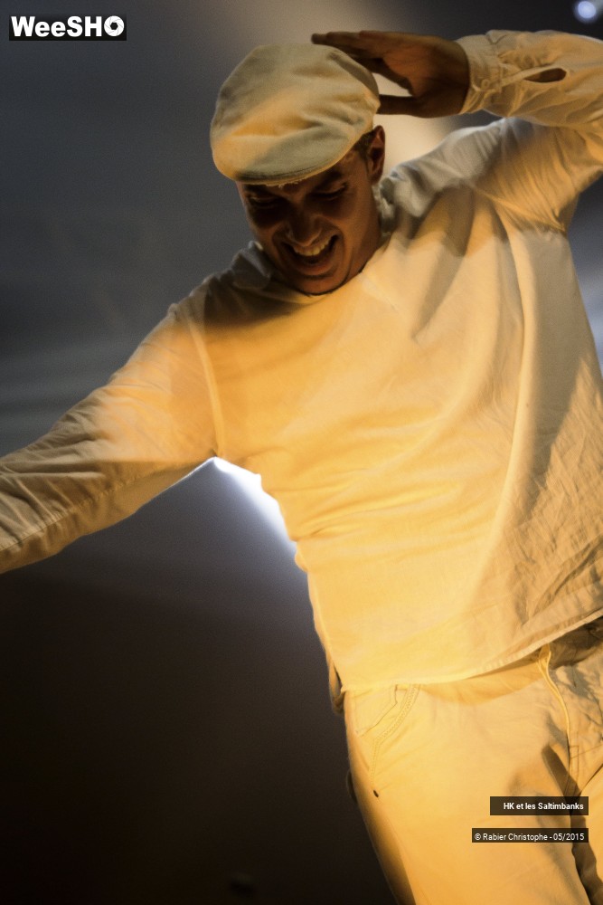 15/51 photos du spectacle HK et les Saltinbanks