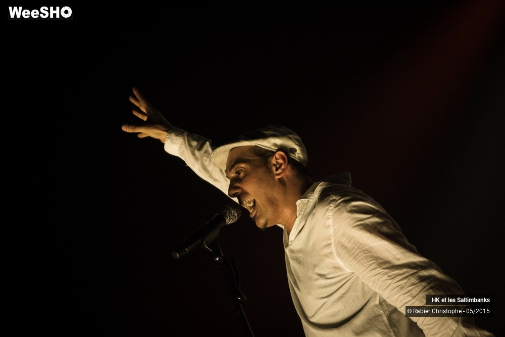 22/51 photos du spectacle HK et les Saltinbanks