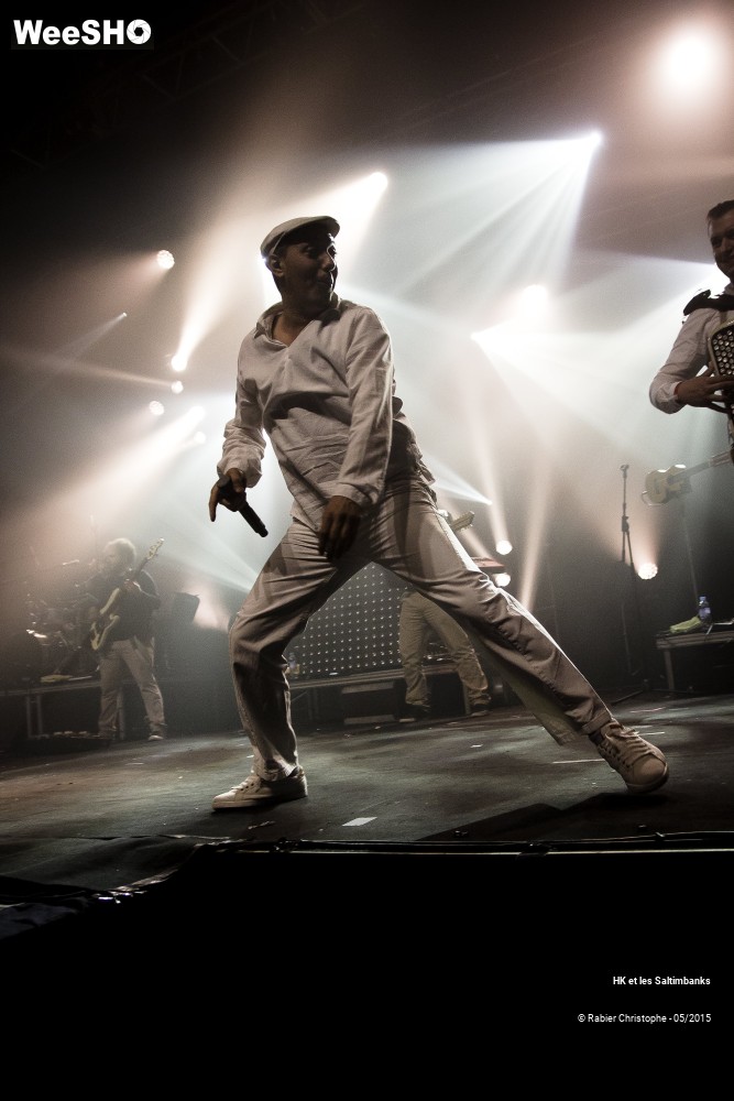 35/51 photos du spectacle HK et les Saltinbanks