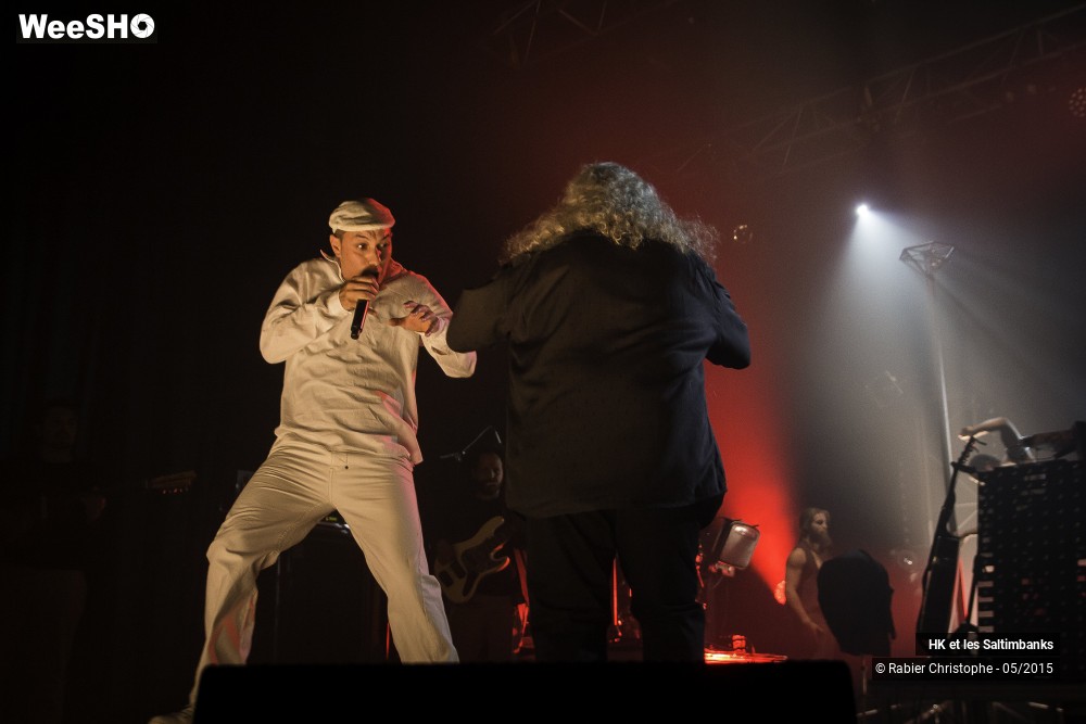 38/51 photos du spectacle HK et les Saltinbanks