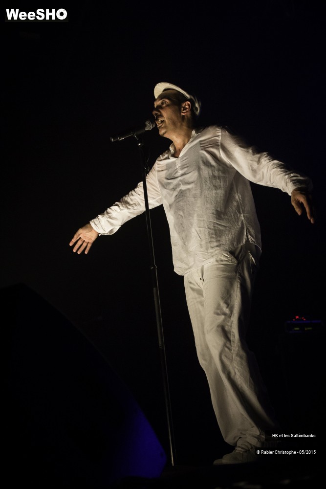 51/51 photos du spectacle HK et les Saltinbanks