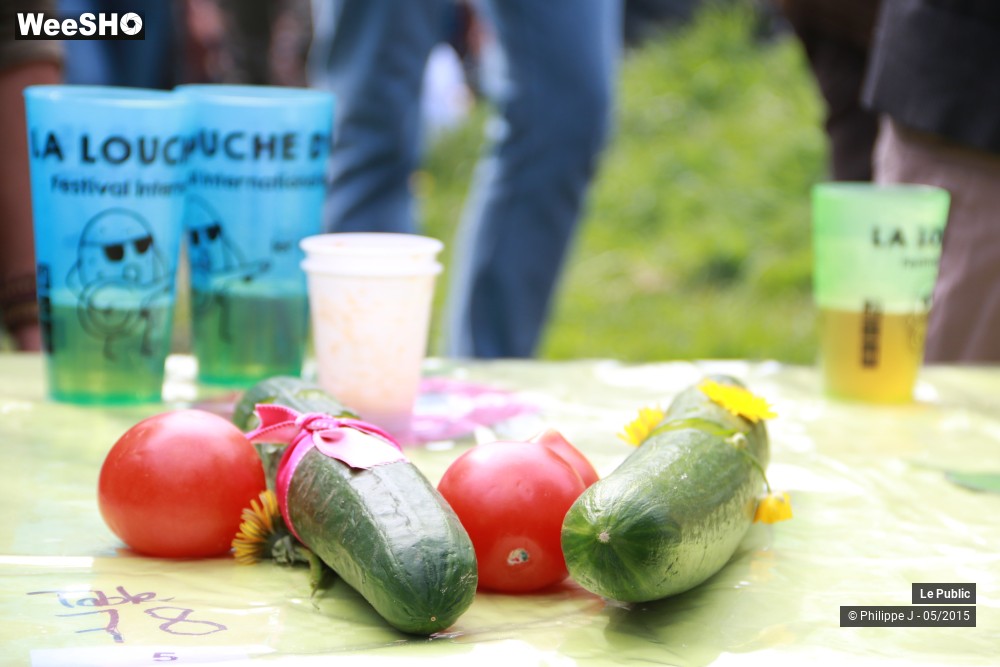 1/41 photos du spectacle Fête de la Soupe 2015