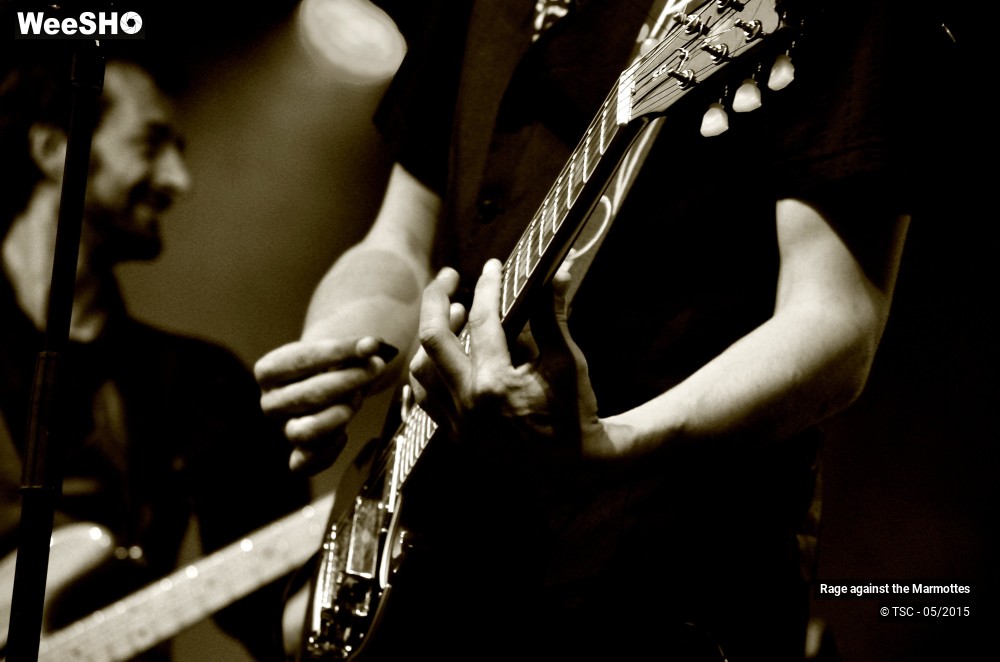 10/23 photos du spectacle Rage against the Marmottes