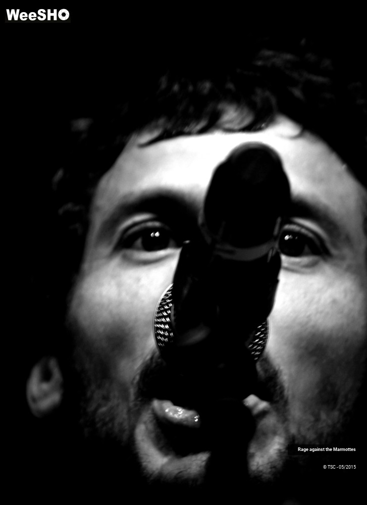 14/23 photos du spectacle Rage against the Marmottes