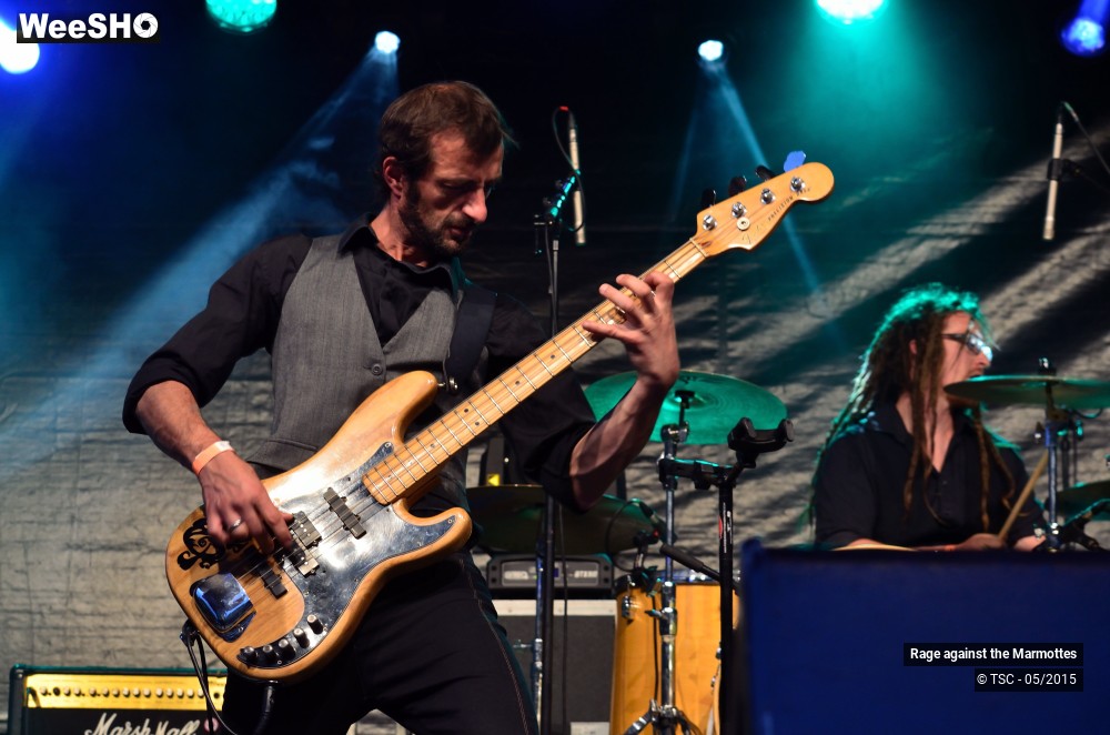 16/23 photos du spectacle Rage against the Marmottes