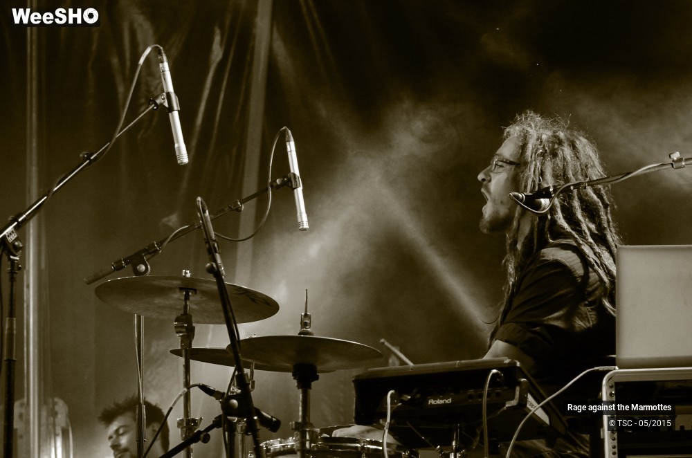 19/23 photos du spectacle Rage against the Marmottes