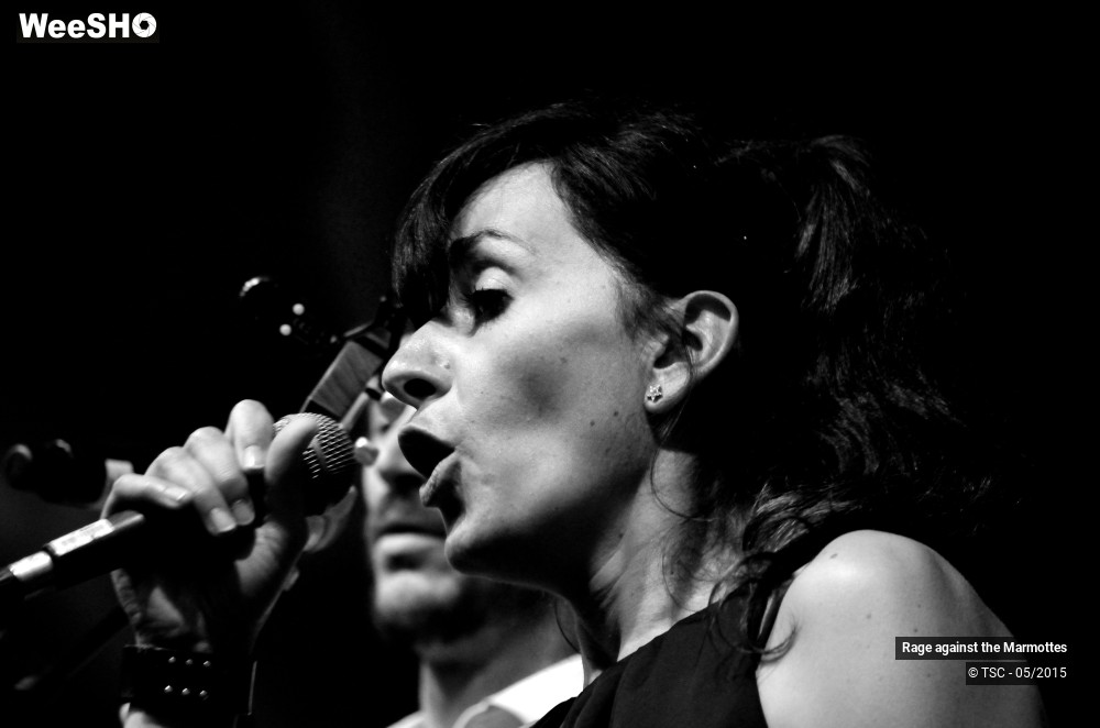 21/23 photos du spectacle Rage against the Marmottes
