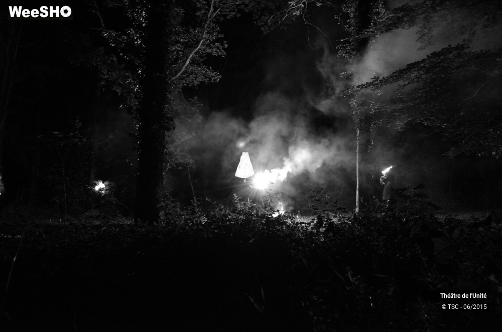 1/22 photos du spectacle MacBeth en Forêt