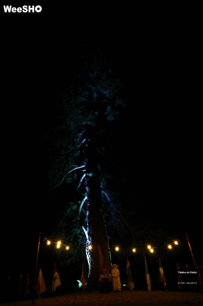 2/22 photos du spectacle MacBeth en Forêt