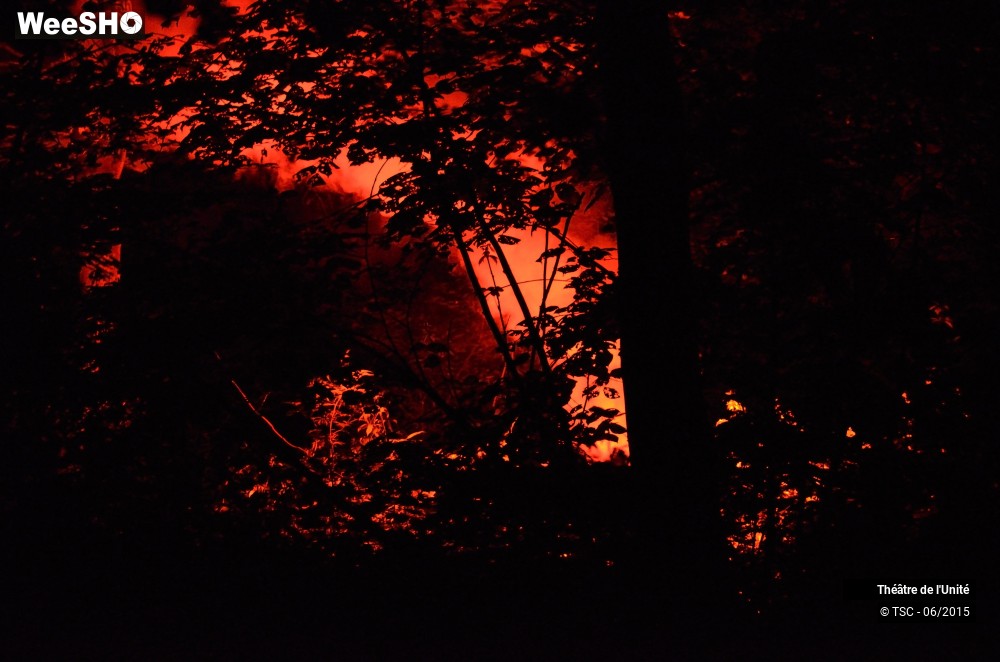 4/22 photos du spectacle MacBeth en Forêt