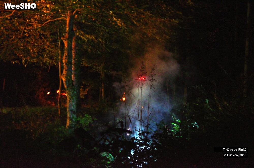 10/22 photos du spectacle MacBeth en Forêt