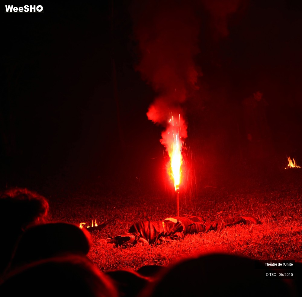 16/22 photos du spectacle MacBeth en Forêt