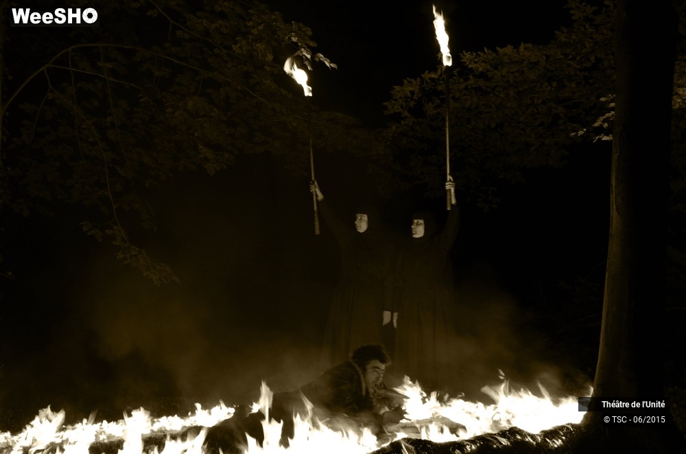 17/22 photos du spectacle MacBeth en Forêt
