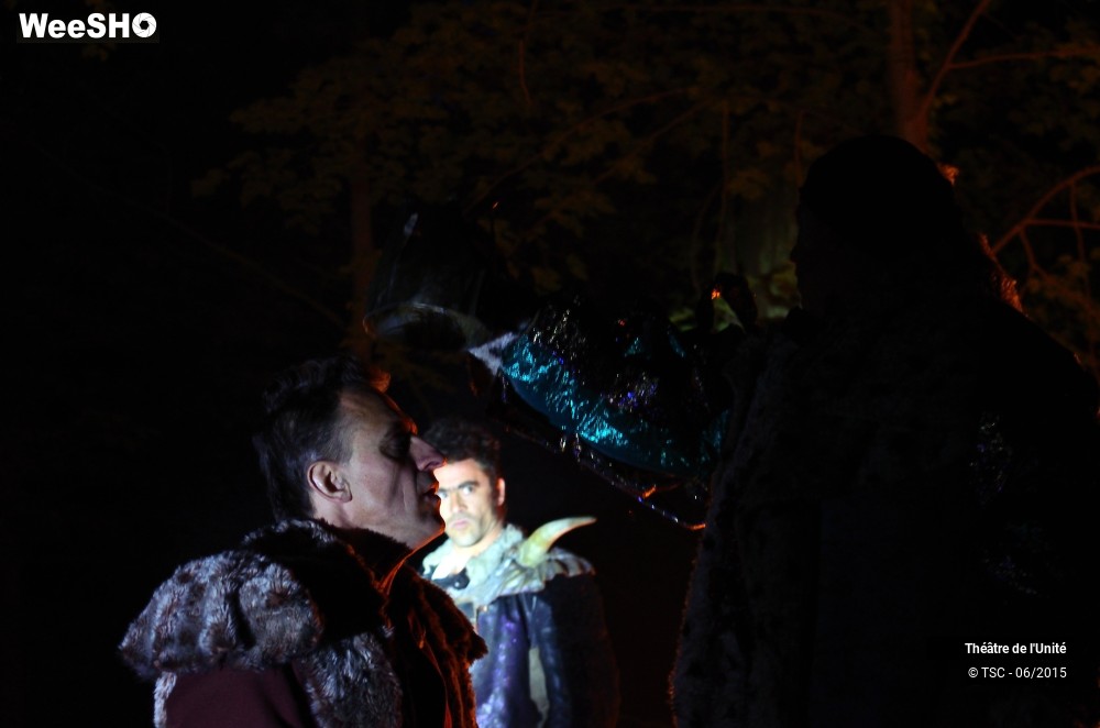 18/22 photos du spectacle MacBeth en Forêt
