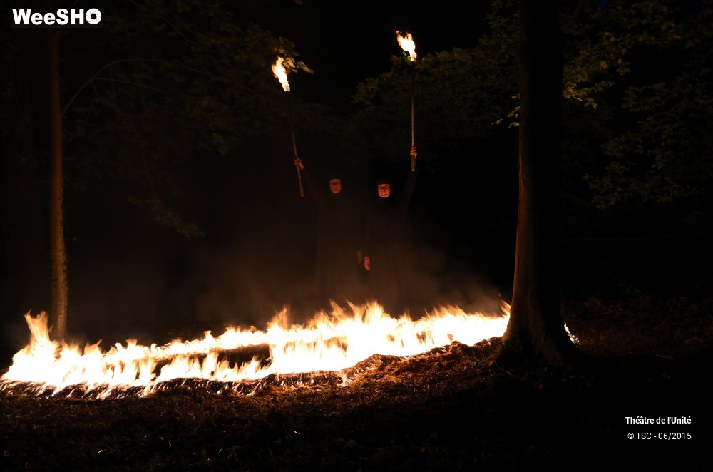 19/22 photos du spectacle MacBeth en Forêt