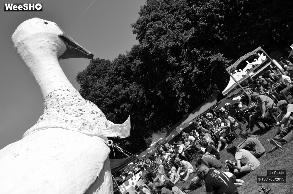 16/31 photos du spectacle Hainaut Belles Bretelles 2015 Ambiance